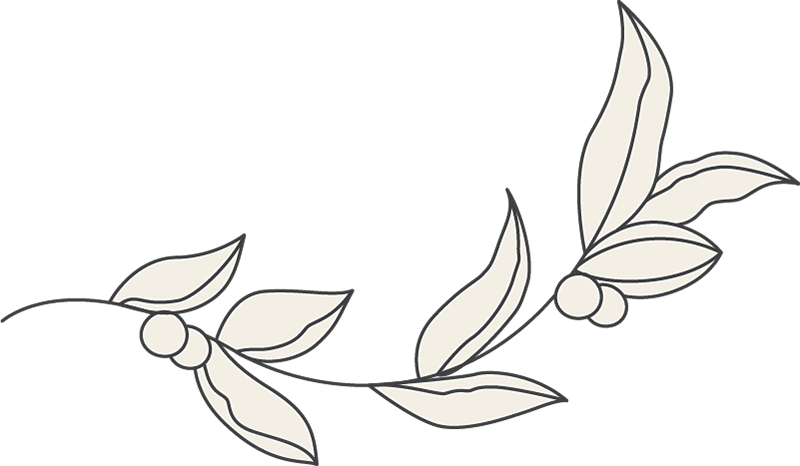 Eine minimalistische Strichzeichnung eines Zweigs mit mehreren länglichen Blättern und kleinen runden Beeren, mit weichen beigen Schattierungen auf den Blättern.