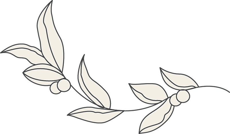 Einfache schwarze Strichzeichnung eines gebogenen belaubten Zweiges mit sechs Blättern und zwei kleinen runden Beeren auf hellem Hintergrund. Die Blätter und Beeren sind mit einer hellbeigen Farbe gefüllt.